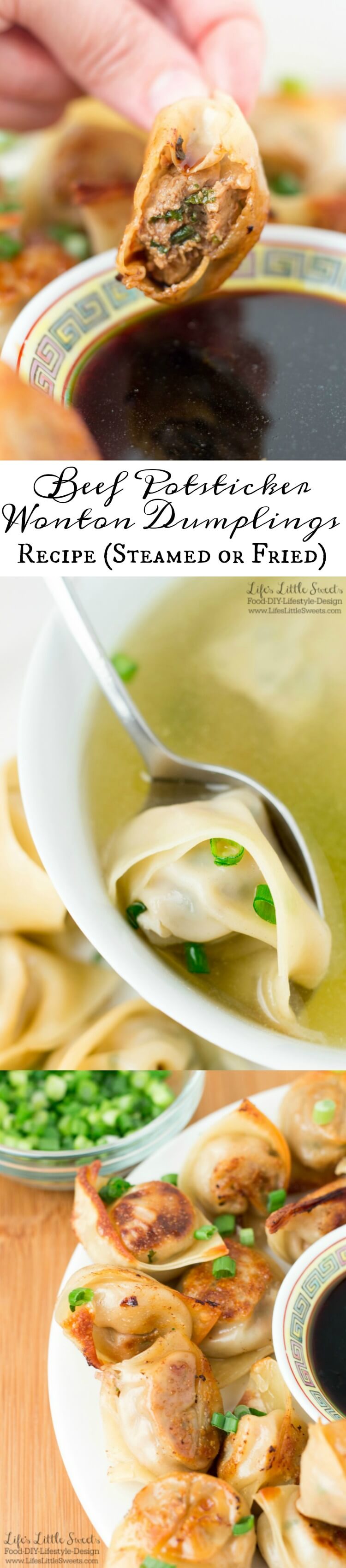 Beef Potsticker Wonton Dumplings Recipe Steamed or Fried