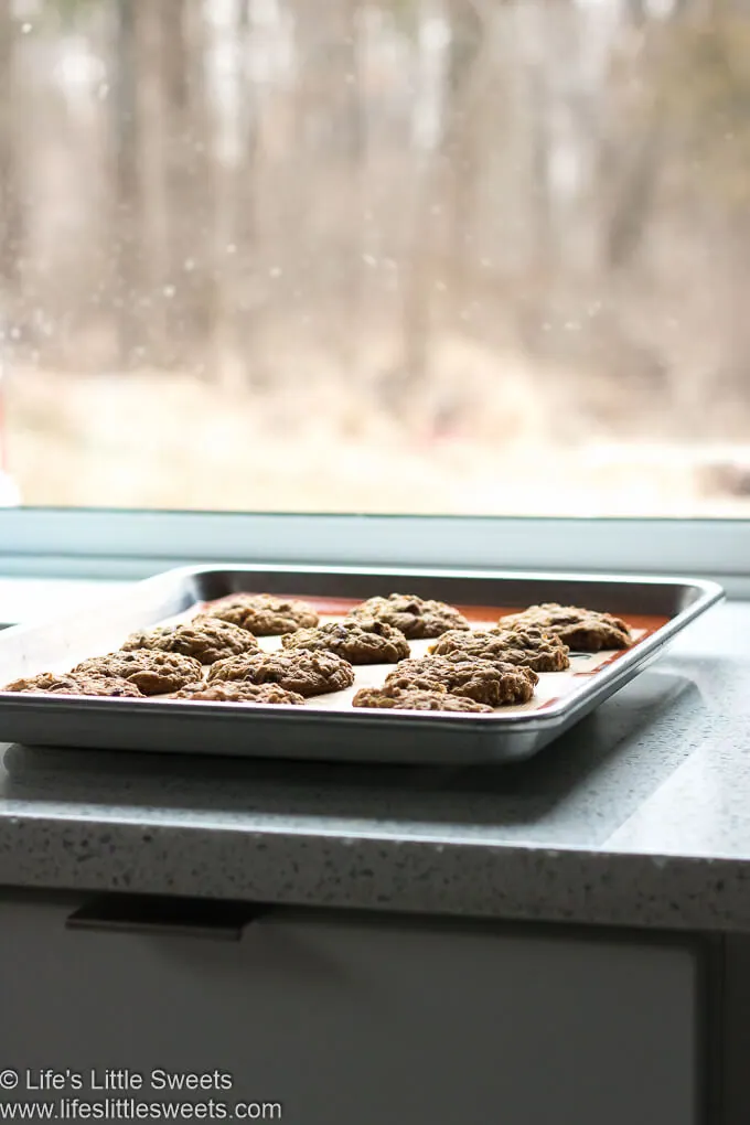 Oatmeal Raisin Cranberry Cookies cooling on baking rack