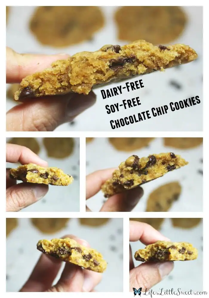 Dairy-Free + Soy-Free Chocolate Chip Cookie Bites showing cookie texture