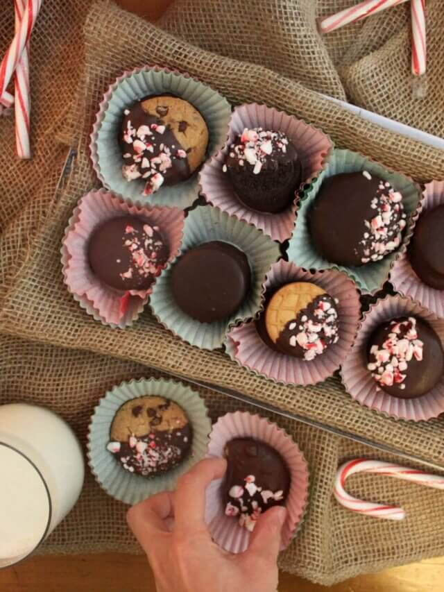 Mocha and Chocolate Covered Holiday Cookies Story