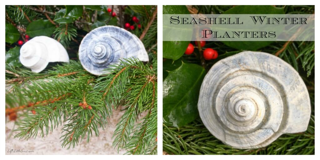 Seashell Winter Planters (Decor w/ Pine, Holly & Seashells) - Life's ...