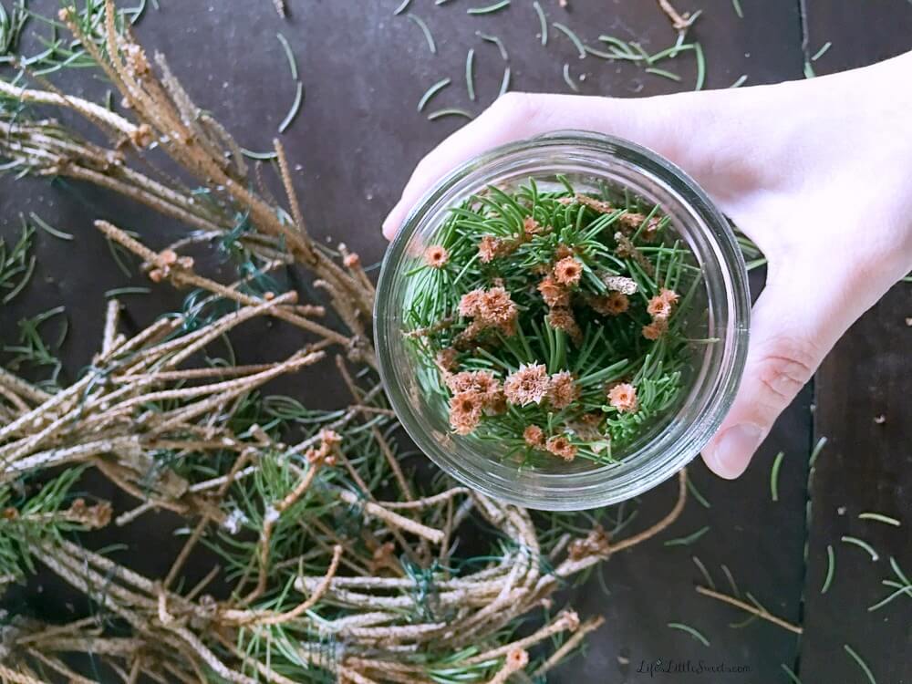 What do you do with that dried out Christmas tree, wreath or garland? Make DIY Pine Mason Jars of course! This resourceful DIY makes a wonderfully scented keepsake of winter holiday memories. Even if those decorations are long gone, just use dry pine twigs, to enjoy the fragrant scent of pine in your home!