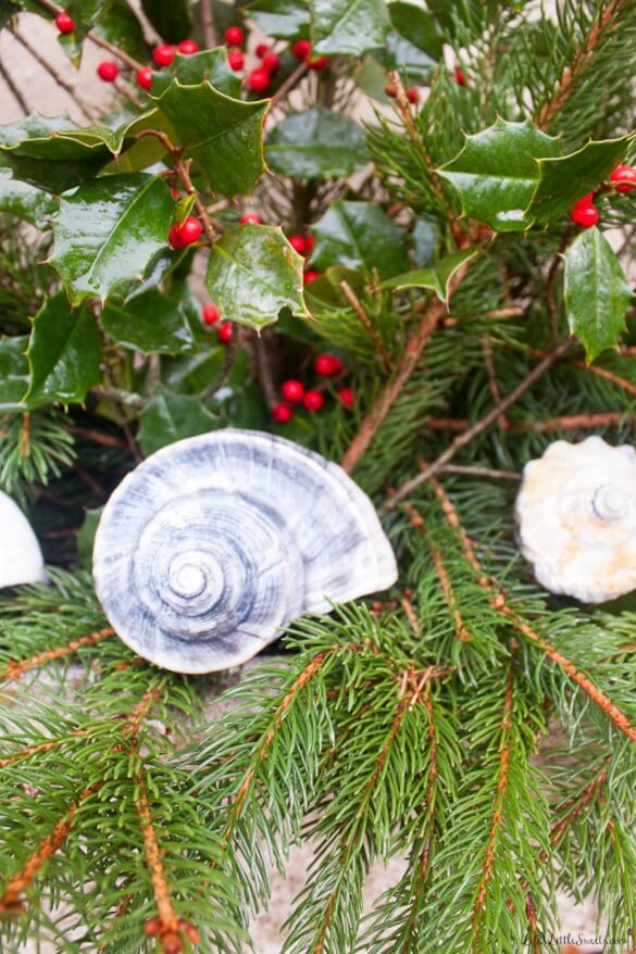 Seashell Winter Planters are a great, natural way to brighten up the outdoors around your home through those long winter months! Using seashells collected over the years, pine & holly branches from around the yard - this DIY decorating idea is also budget-friendly being absolutely free! Let those sweet seashells bring reminders of the fabulous Summer to come.