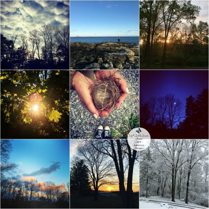 Nature Photos - Get Your Mommy Mojo Back After Having A Baby! I share my 6 tips and share my personal experience after having a baby. I also share about how Centrum® Vitamints and Centrum® MultiGummies helps me maintain my Mommy Mojo. Check out a video on Walgreens’ partnership with Vitamin Angels too! #ad #EssentialVitamins #CollectiveBias