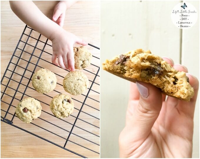 This recipe for Chocolate Chip Oatmeal Raisin Cookies is a tasty snack when your family needs a treat. This recipe uses coconut oil instead of butter and the dough can be mixed with Go & Grow by Similac® Food Mix-Ins™ for your toddler (ages 1+) for a yummy treat! #NutritionintheMix #Walmart #ad @Walmart