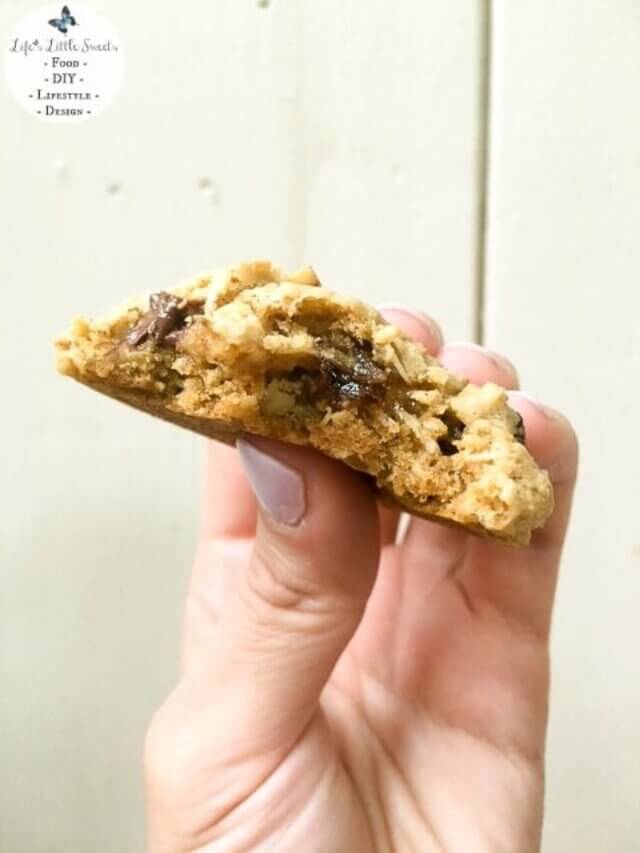 Chocolate Chip Oatmeal Raisin Cookies Story