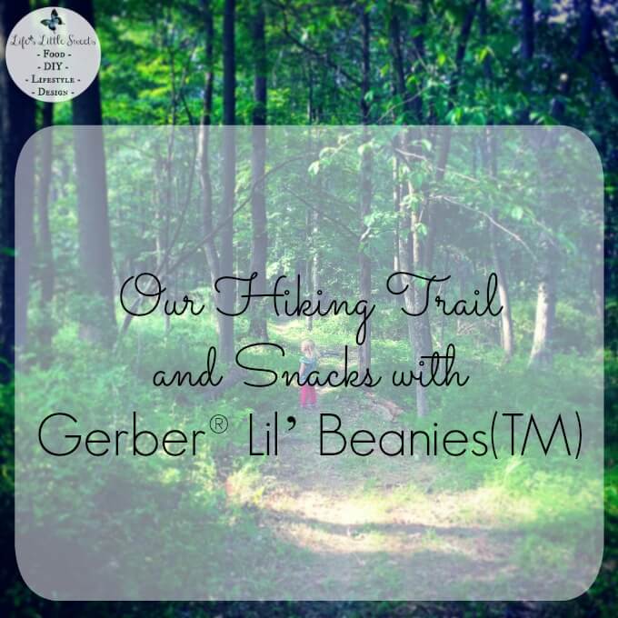 Check out Our Hiking Trail and how we snack on the go with Gerber® Lil’ Beanies(TM) in Original and White Cheddar & Broccoli #ad #GerberWinWin #Linqia @Gerber