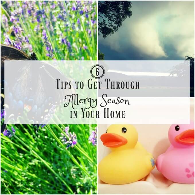 Suffering from Allergies? Here are 6 Tips to Get Through Allergy Season in Your Home! See how I use all® free clear liquid as apart of my strategy! #FreeToBe #CollectiveBias #ad 