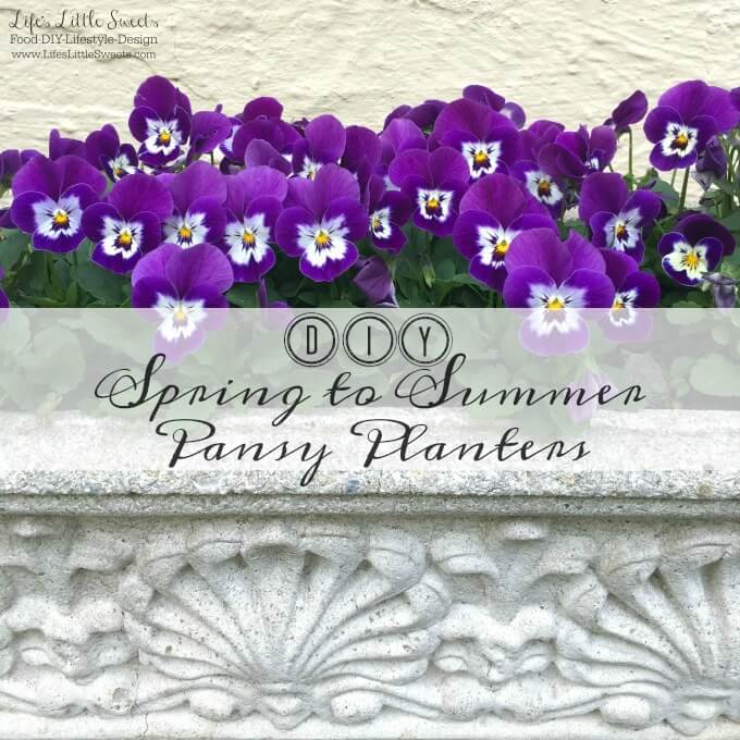 These DIY Spring to Summer Pansy Planters are the the perfect garden DIY to brighten your deck, patio or garden. Get the kids involved to make this a fun, family activity.
