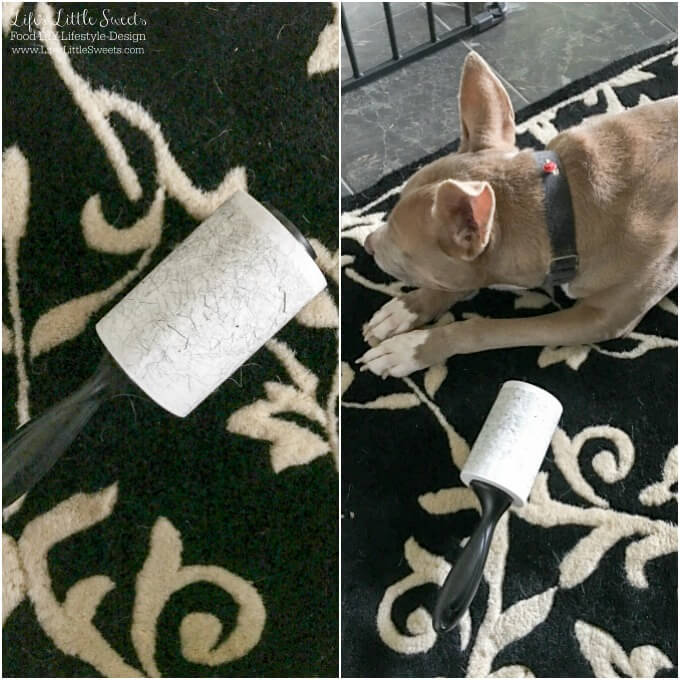 ? Ways to Tackle Dog Hair in Your Home: Check out some Ways to Tackle Dog Hair in Your Home and see how we use Scotch-Brite™ Lint Rollers to help us get the job done! Dog hair complementary of my dogs Cayli & Chloe! #ad #StickItToLint #CollectiveBias @ScotchBrite