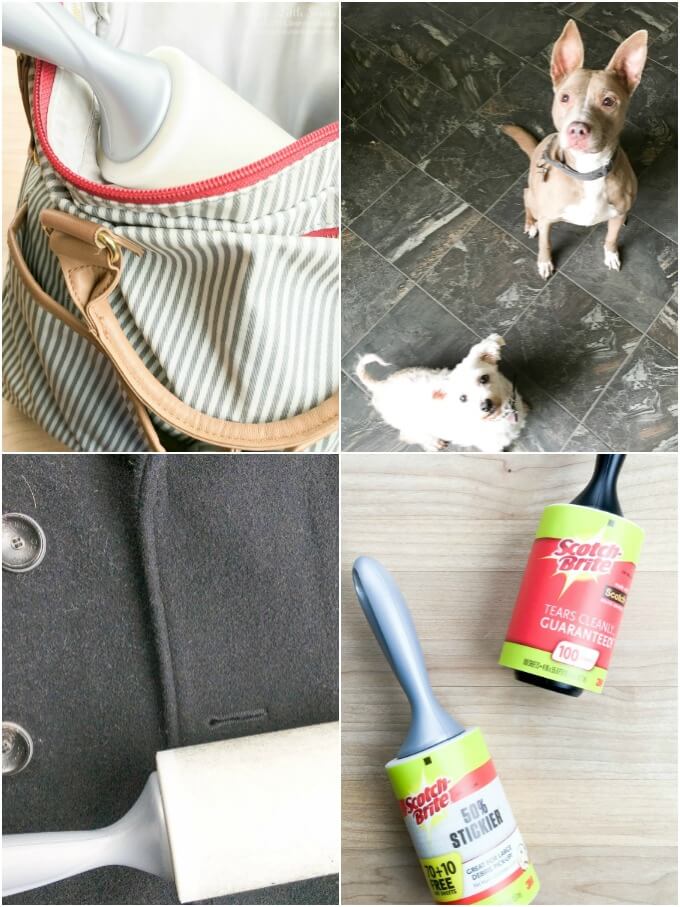 ? Ways to Tackle Dog Hair in Your Home: Check out some Ways to Tackle Dog Hair in Your Home and see how we use Scotch-Brite™ Lint Rollers to help us get the job done! Dog hair complementary of my dogs Cayli & Chloe! #ad #StickItToLint #CollectiveBias @ScotchBrite