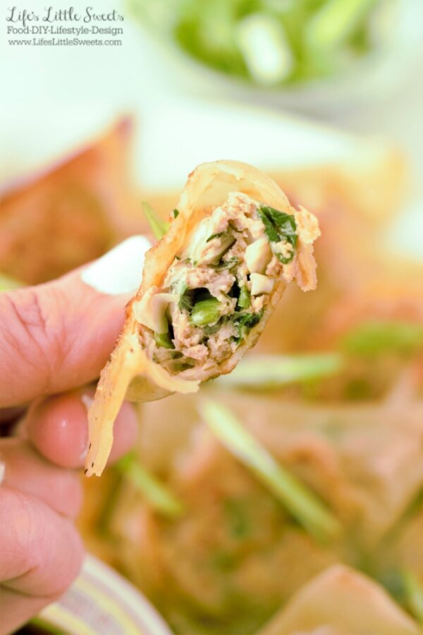 Pork Cabbage Potsticker Wonton Dumplings (Steamed or Fried) Life's