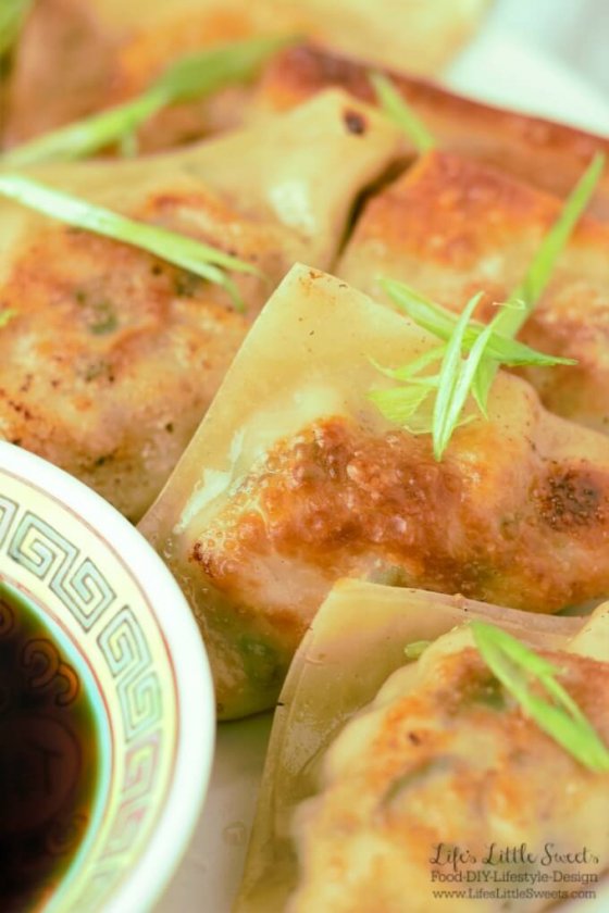 Pork Cabbage Potsticker Wonton Dumplings (Steamed or Fried) Life's