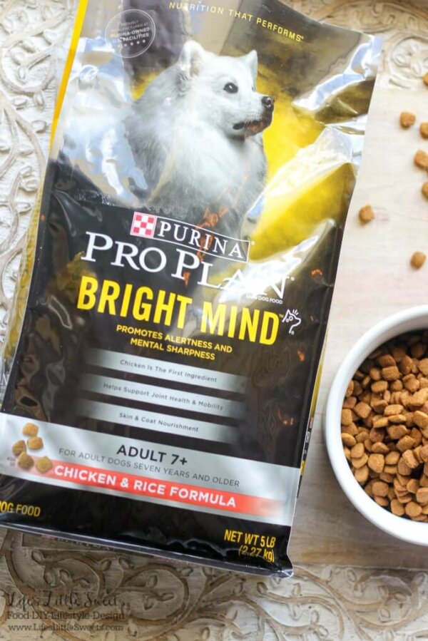 DIY Dog Collar Charm (Silver, Charm, Pet, Purina Dog Food, Petco