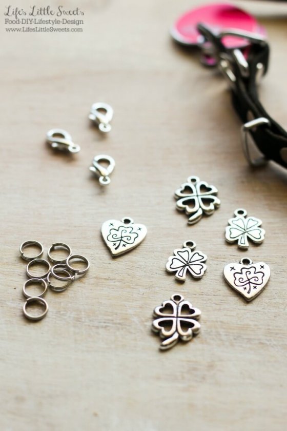 DIY Dog Collar Charm (Silver, Charm, Pet, Purina Dog Food, Petco