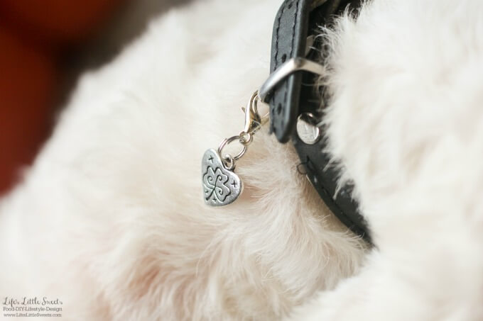 This DIY Dog Collar Charm is easy craft for your beloved pet and in this case my dog, 
