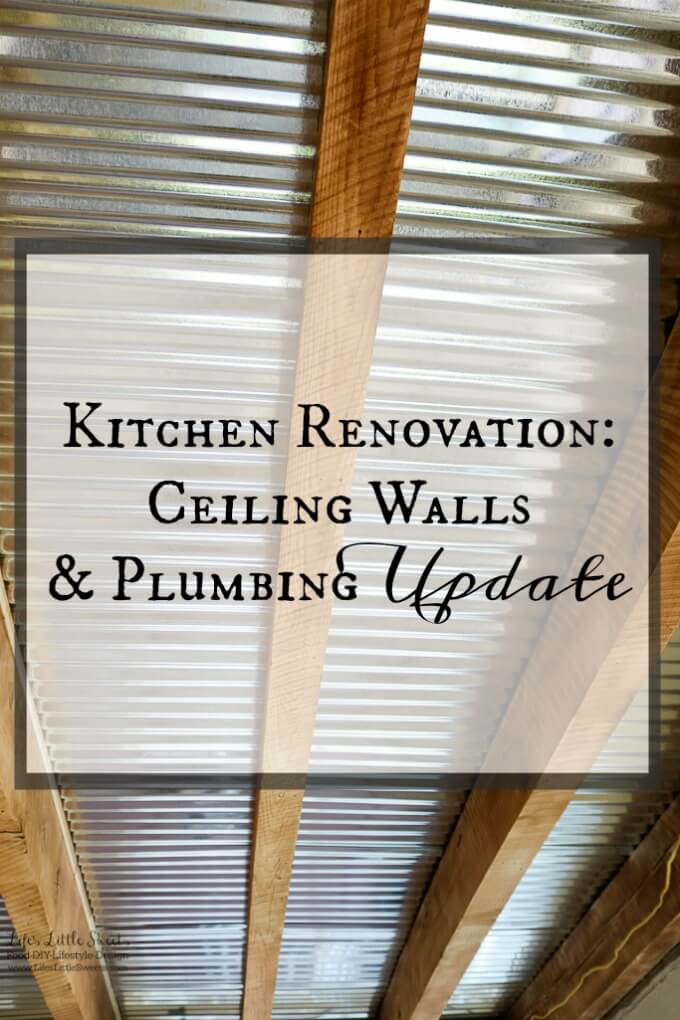 Kitchen Renovation Ceiling Walls and Plumbing Update - Here's our latest update on the last 2 weeks for our modern, industrial Kitchen Renovation Project (45 photos!).