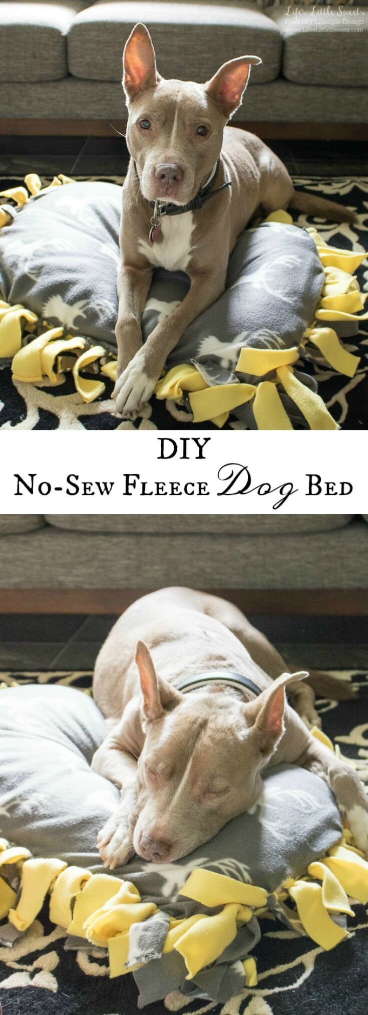 DIY No-Sew Fleece Dog Bed www.LifesLittleSweets.com