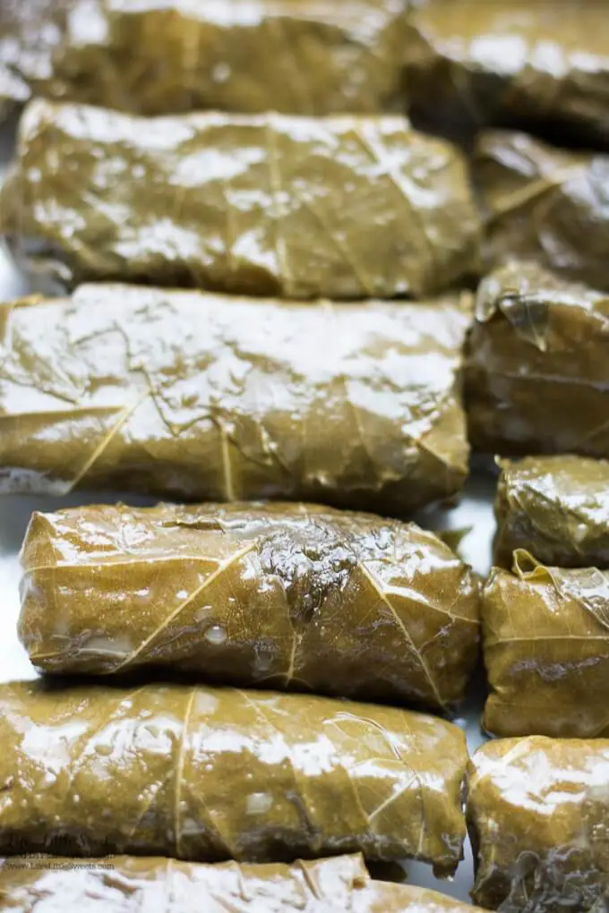 Vegan or meat option | This Stuffed Grape Leaves Recipe is perfect for Spring and Summer; enjoy them at picnics, a party or a family gathering. They are stuffed with cooked rice, dill, mint with fresh squeezed lemon juice and then wrapped in delicious grape leaves. (serve hot or cold, meat and vegan option)