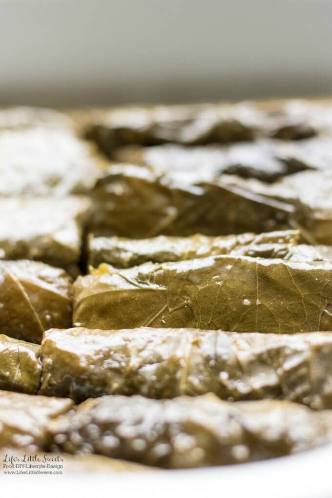 Up close | This Stuffed Grape Leaves Recipe is perfect for Spring and Summer; enjoy them at picnics, a party or a family gathering. They are stuffed with cooked rice, dill, mint with fresh squeezed lemon juice and then wrapped in delicious grape leaves. (serve hot or cold, meat and vegan option)