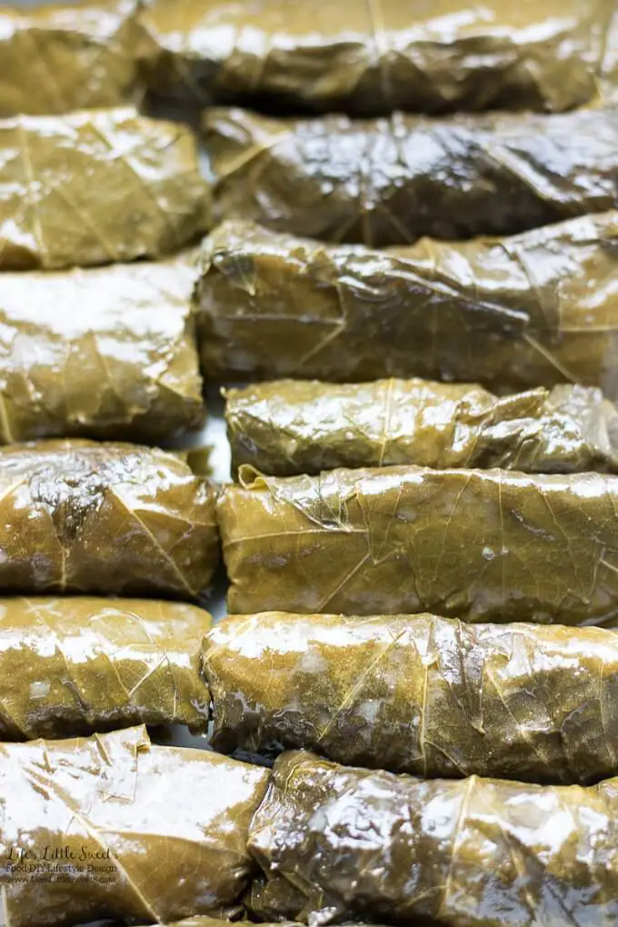 Ready to serve | This Stuffed Grape Leaves Recipe is perfect for Spring and Summer; enjoy them at picnics, a party or a family gathering. They are stuffed with cooked rice, dill, mint with fresh squeezed lemon juice and then wrapped in delicious grape leaves. (serve hot or cold, meat and vegan option)