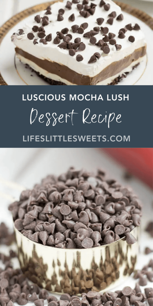 Luscious Mocha Lush Dessert Recipe with text overlay