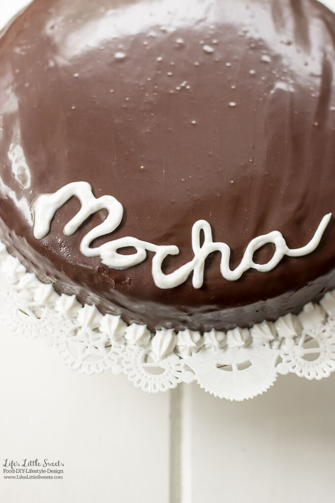 This Single-Layer Mocha Ganache Cake Recipe is a from scratch cake recipe that is easy to make. Topped with creamy and smooth mocha ganache, this mocha cake recipe is perfect for any occasion (12 slices). www.lifeslittlesweets.com