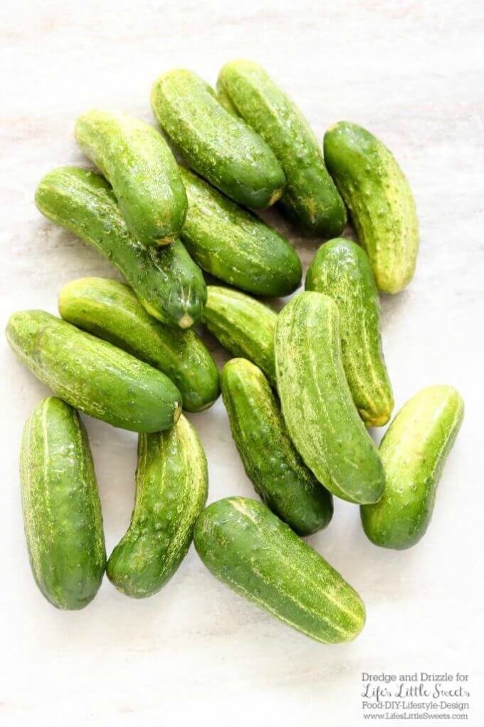 Cucumbers for Sweet Refrigerator Pickles - If you don’t think you like sweet pickles, give these homemade Sweet Refrigerator Pickles a try. They’re great for a quick crunchy snack and excellent on top of hot dogs fresh off the grill. Toasted bun. A little mustard. Is your mouth watering yet? www.lifeslittlesweets.com