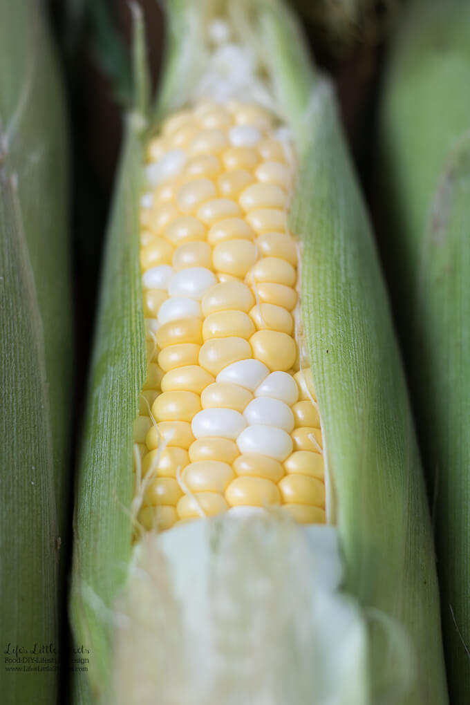 Boiled Butter Corn is sweet, savory and a true sign of Summer! Enjoy this classic way to enjoy corn at any Summer gathering. Cooks in 5 minutes!
