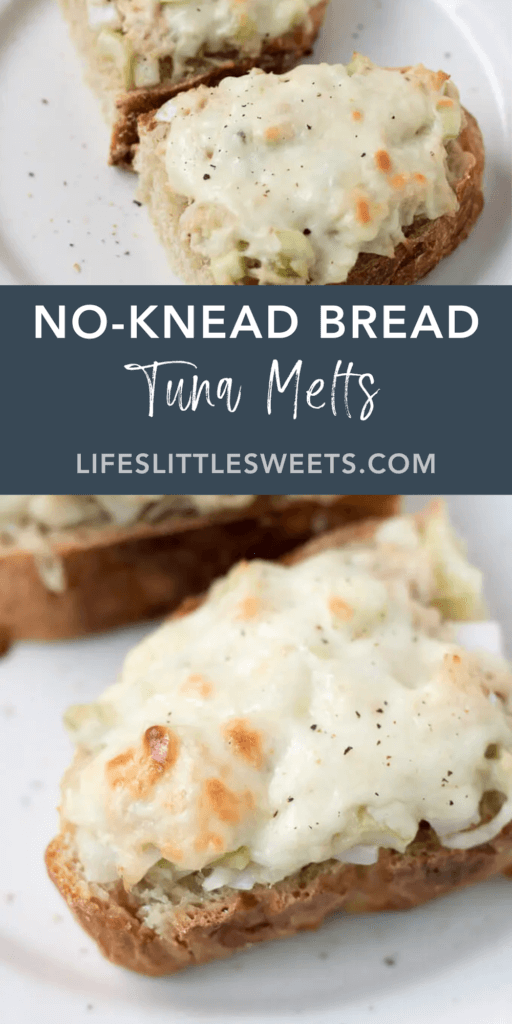 Tuna Melts with text overlay