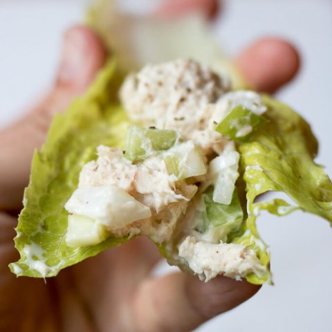 Tuna Salad Lettuce Wraps