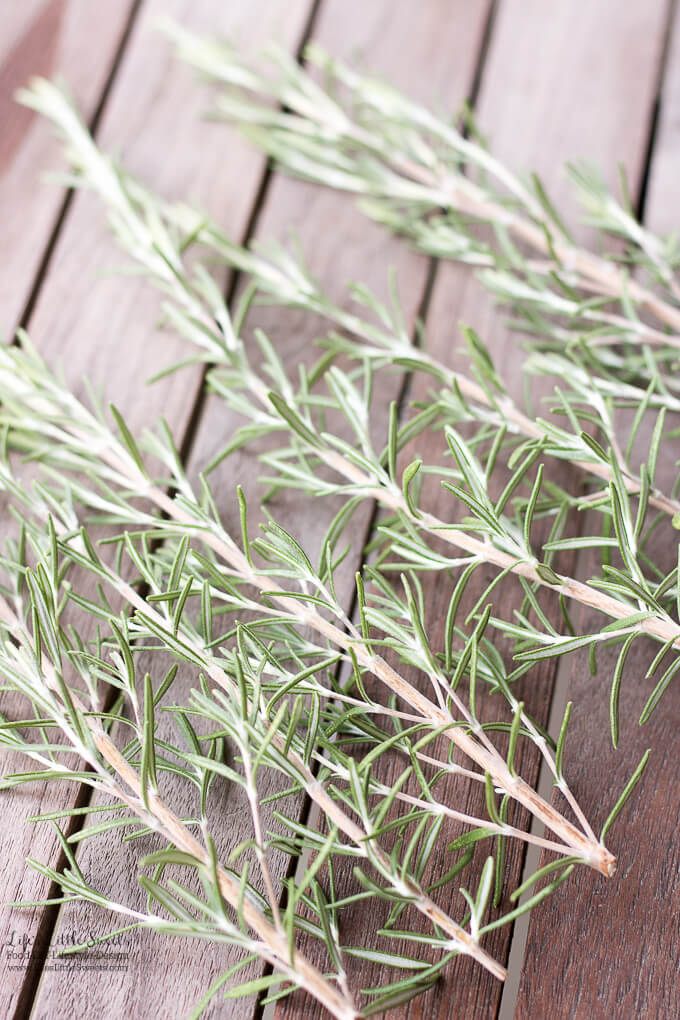 freshly picked rosemary sprigs