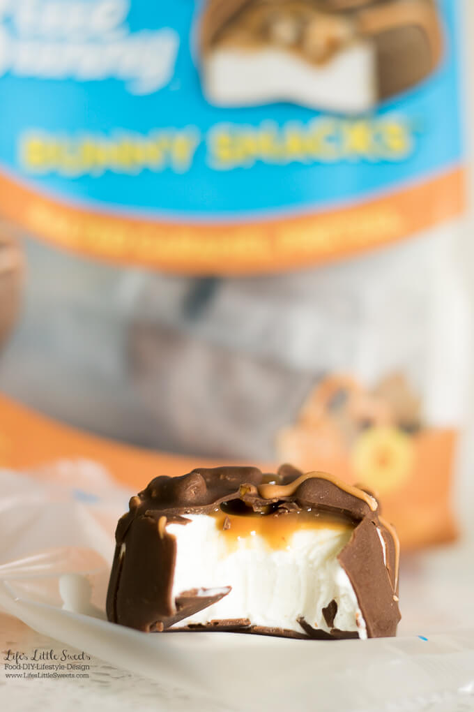 These Chocolate-Dipped Brownie Ice Cream Sandwiches are a sweet way to cool off when you need a treat. They are filled with Blue Bunny® Ice Cream Bunny Tracks® ice cream, dipped in Homemade Chocolate Shell and decorated with sprinkles. #SoHoppinGood #BlueBunny #CollectiveBias #ad
