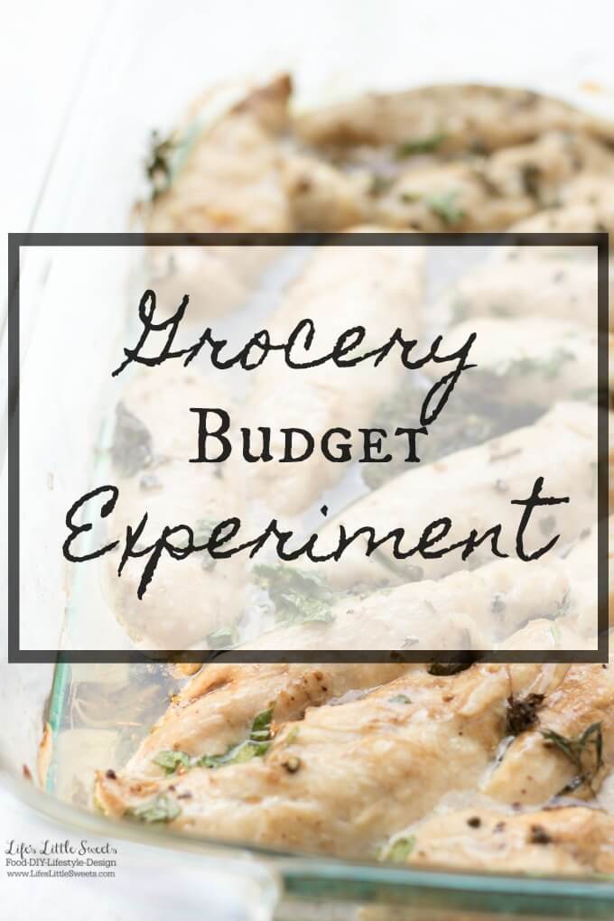 Grocery Budget Experiment