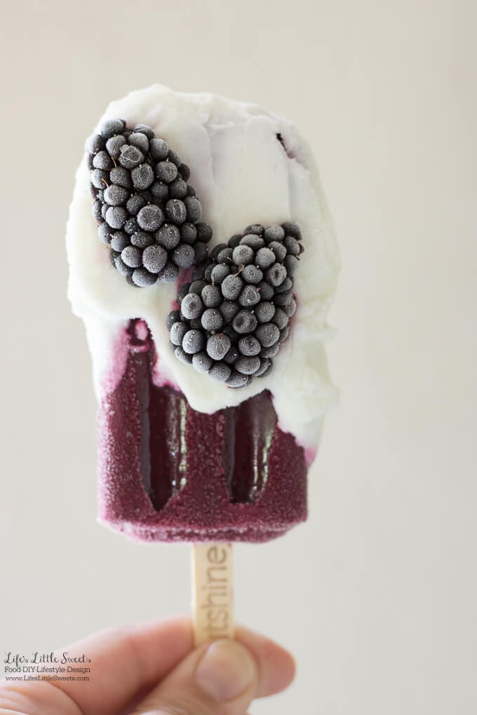 a hand holding 1 Yogurt-Dipped Blackberry Fruit Bar