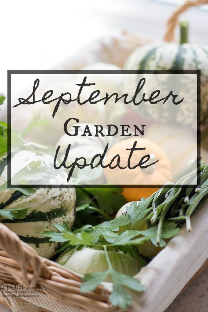 September Garden Update