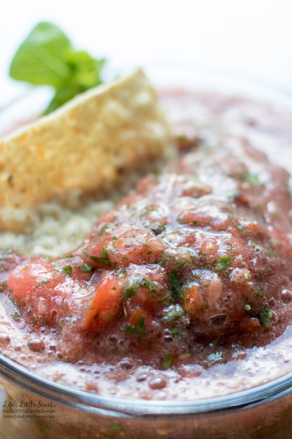 Homemade Garden Fresh Salsa (Food Processor) Life's Little Sweets