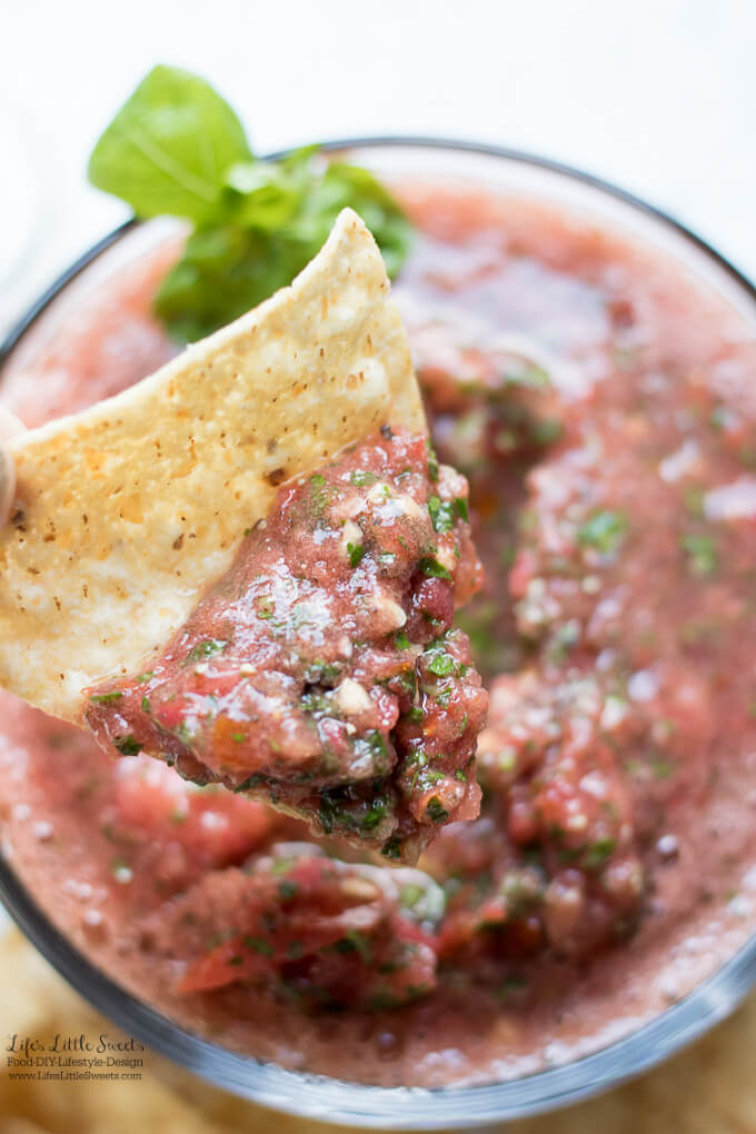 Homemade Garden Fresh Salsa Made In The Food Processor