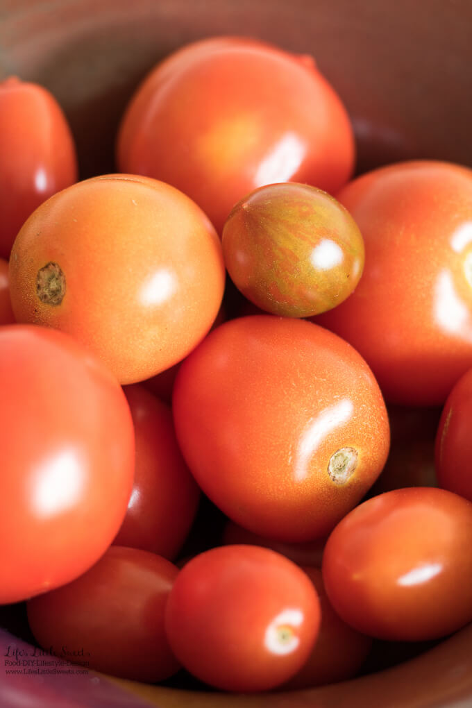 freshly picked garden tomatoes