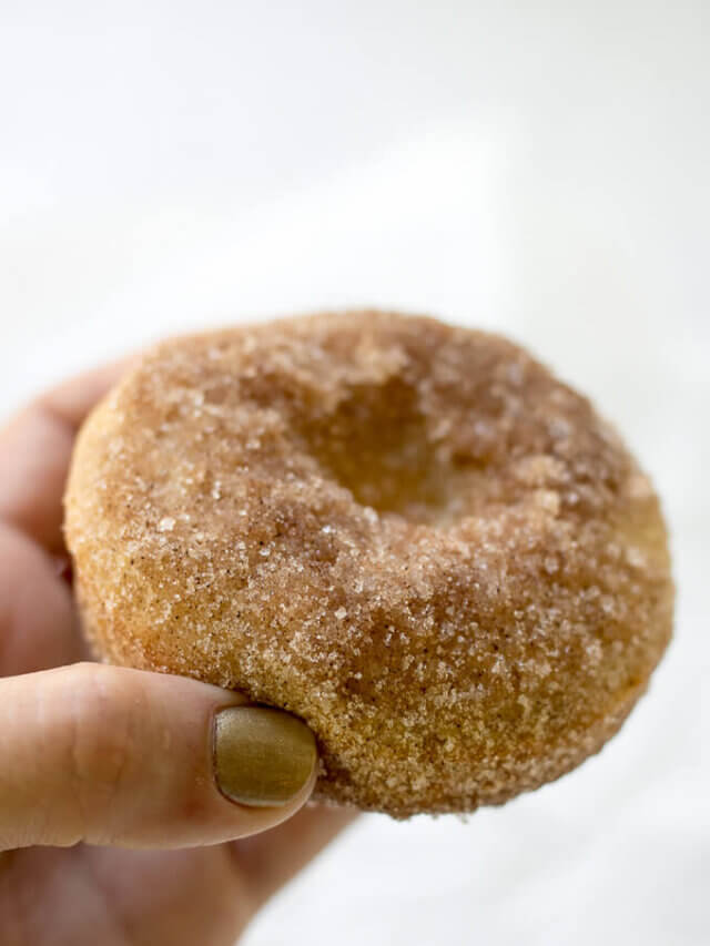 Cinnamon Sugar Baked Donuts Story
