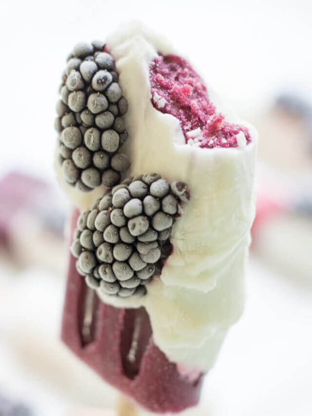 Yogurt-Dipped Fresh Blackberry Fruit Bars Story