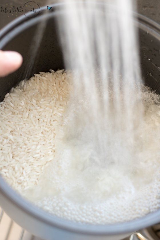How to Make Rice in a Rice Cooker (Aroma Housewares Instructions
