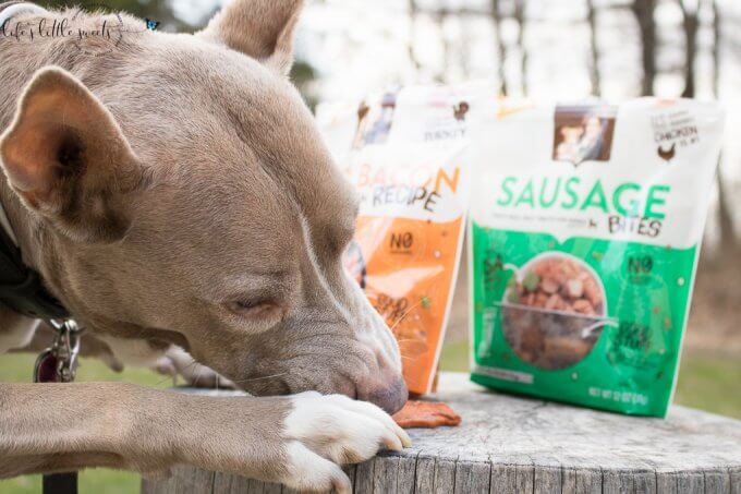 I'm discussing How to Pamper Your Dog while discussing different ways we pamper our sweet dog Cayli. Guess what? Rachael Ray™ Nutrish® Dog Treats are one of the ways that we like to pamper her! @nutrish #NutrishRealMeatTreats #NutrishPets #CollectiveBias #ad #dog #seniordog