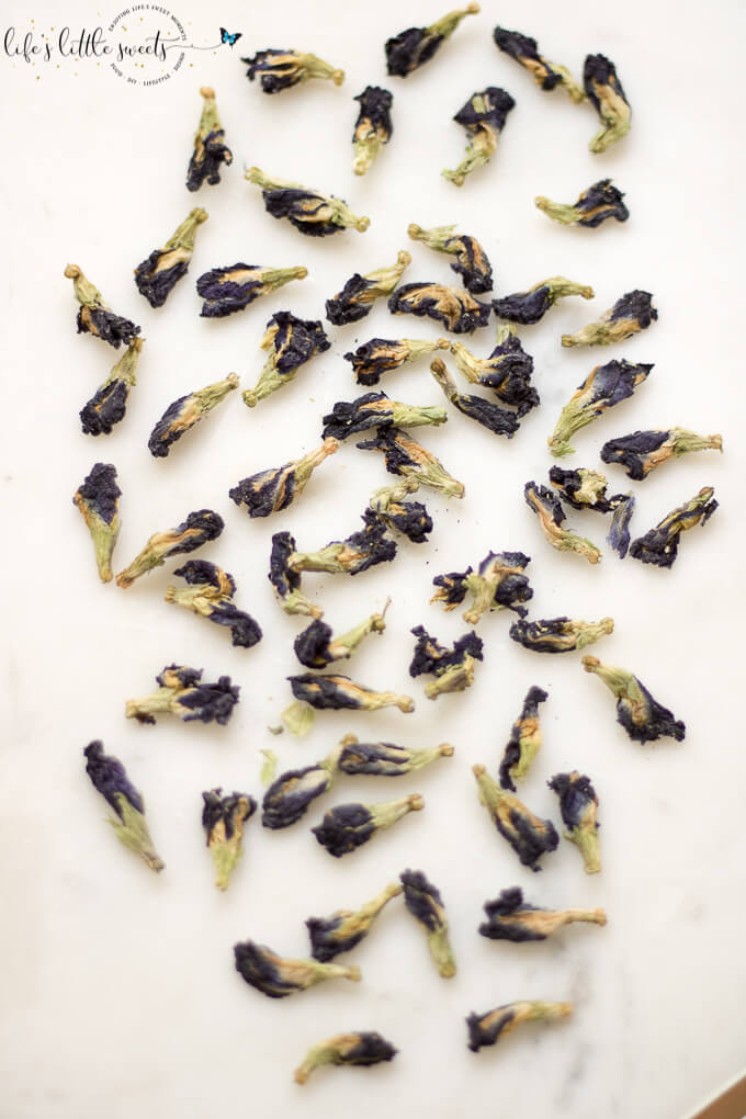 This Blue Butterfly Pea Flower Tea recipe can be enjoyed either hot or cold and tastes delicious with lemon or lime which changes the color from an indigo blue to a purple-pink! You can also add wildflower honey to sweeten this delicious and refreshing tea drink. #tea #icedtea #hottea #bluebutterflypeaflowertea #peaflower #peaflowertea #galaxy #galaxytea #lime #honey #glutenfree