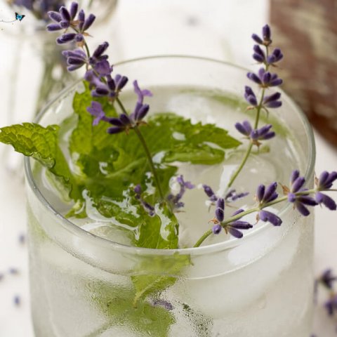 Lavender Mint Water