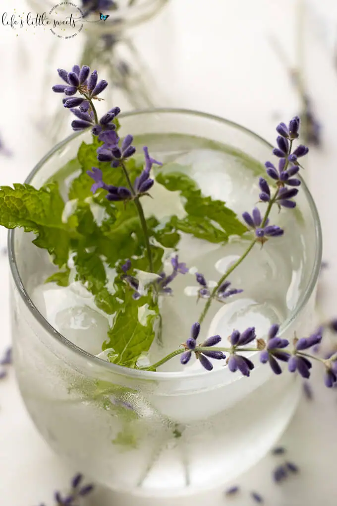 Lavender Mint Water is a Summer, spa water recipe that you can make passively by cold brewing in the refrigerator overnight. (vegan, gluten free) #spawater #Summerwater #lavender #driedlavender #mint #freshmint #freshlavender #water 