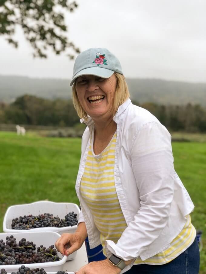 2018 Cabernet Franc Grape Harvest