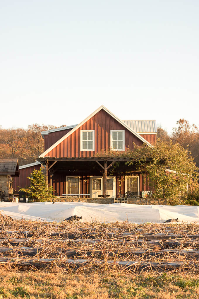 The Farm Cooking School and Roots to River Farm at Gravity Hill