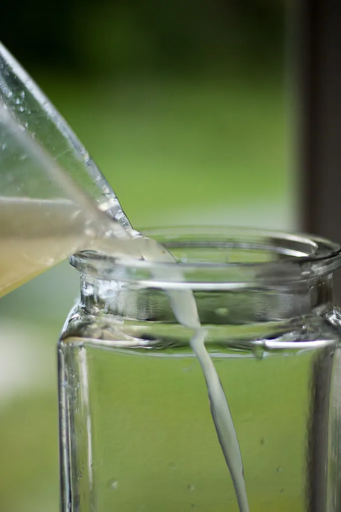 Blue Butterfly Pea Flower Lemonade Recipe