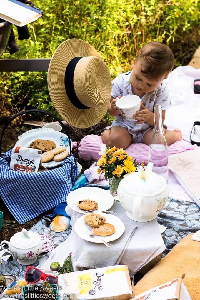 How To Have The Ultimate Picnic lifeslittlesweets.com